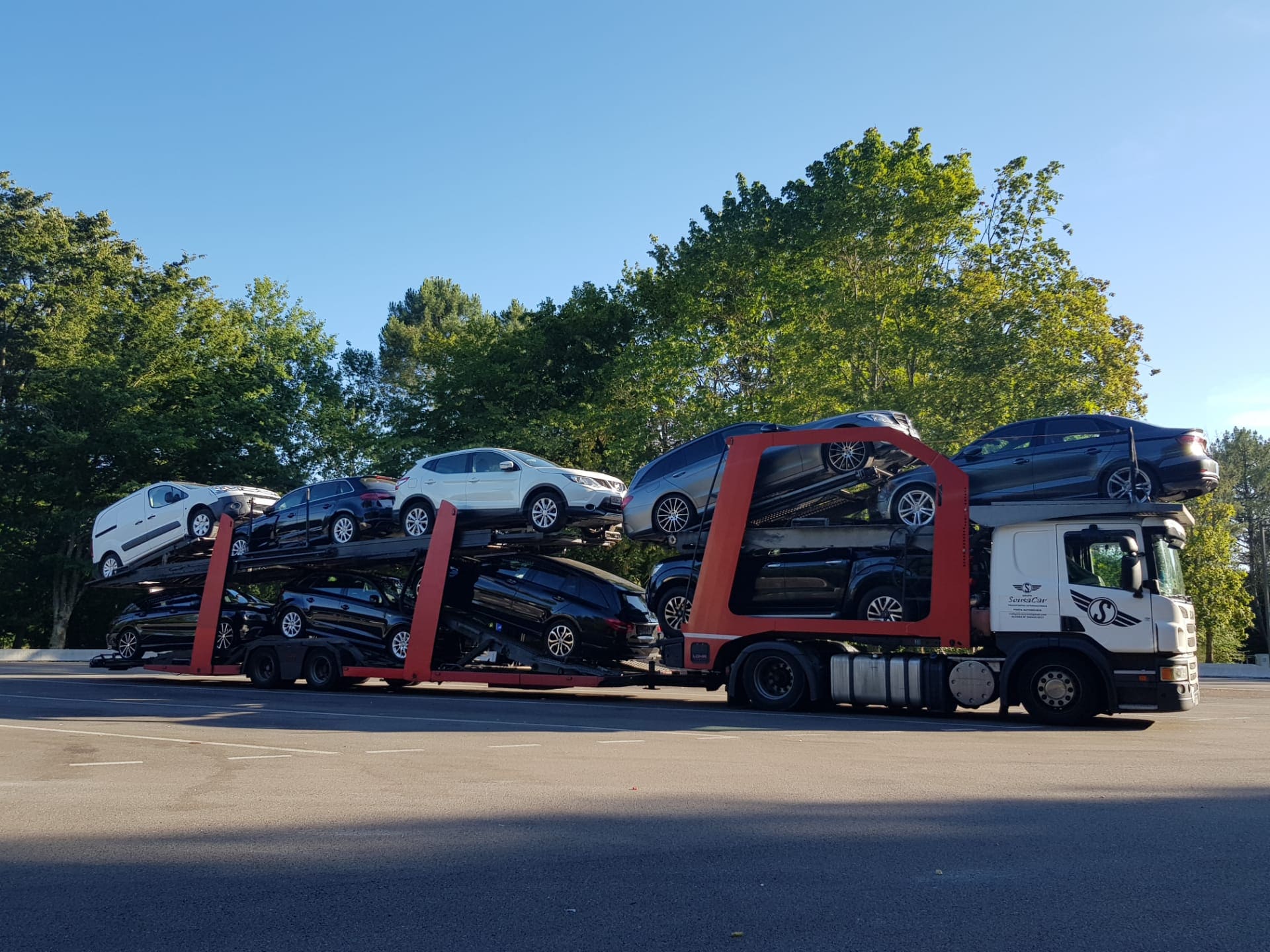 TRANSPORTAMOS